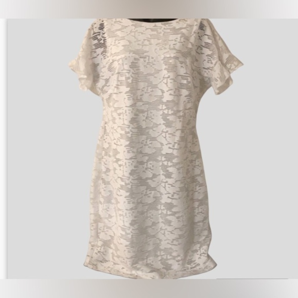 Chaps white Dress NWOT